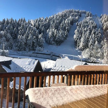 Appartement Aux Pieds Des Pistes De Ski Laveissiere Exterior photo