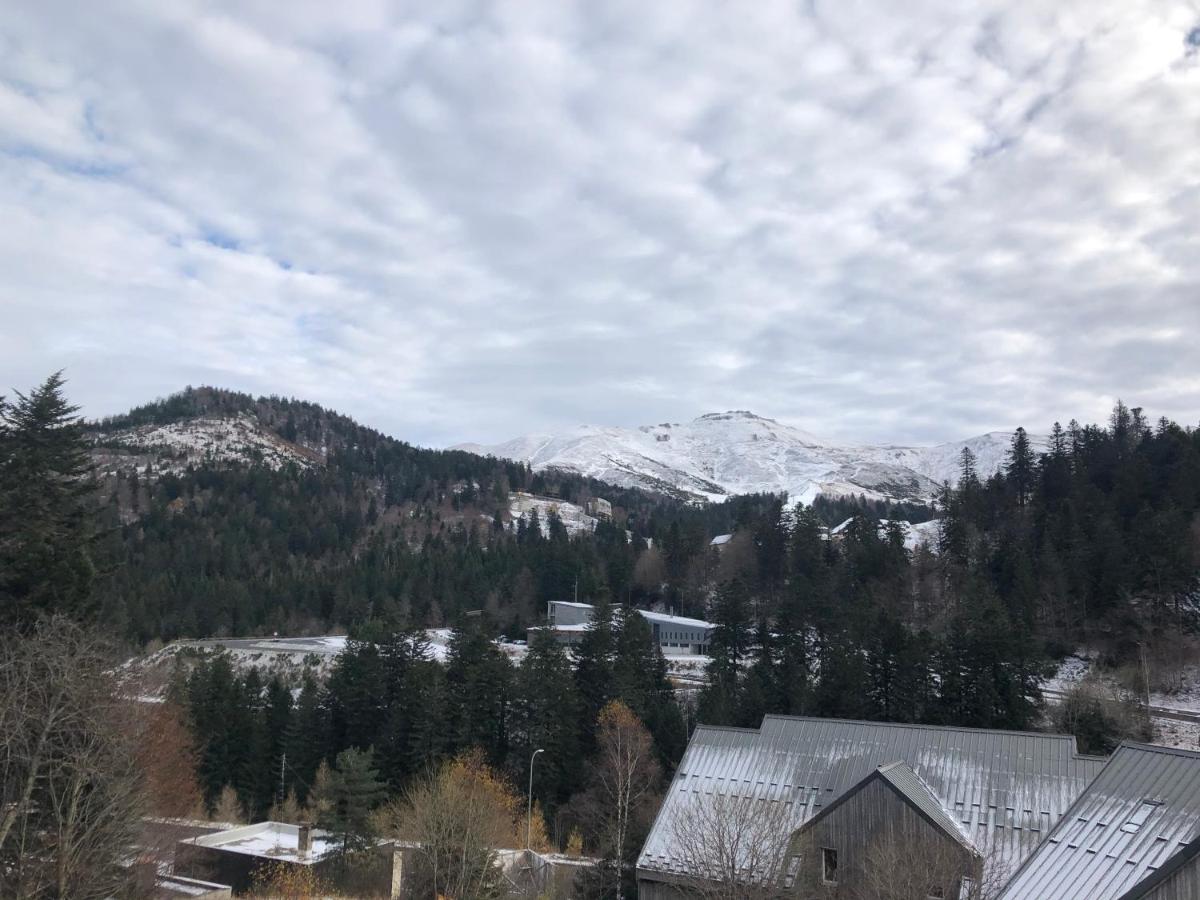 Appartement Aux Pieds Des Pistes De Ski Laveissiere Exterior photo